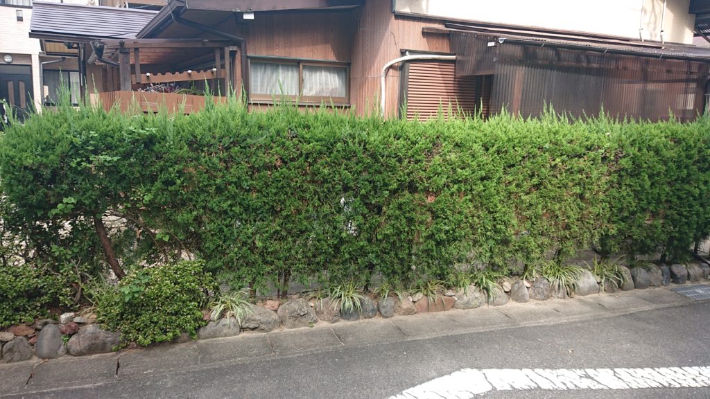 カイヅカ　垣根