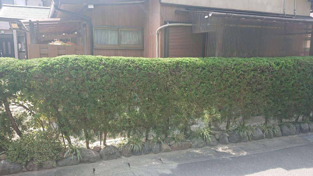 カイヅカ　垣根　苅込