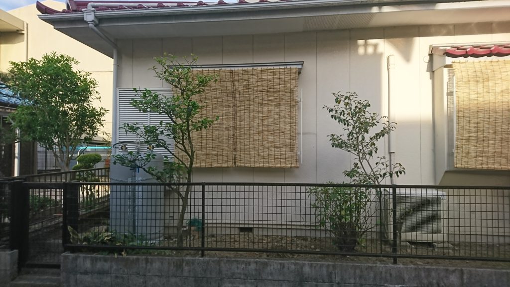 ツバキ 剪定 消毒 紅葉園