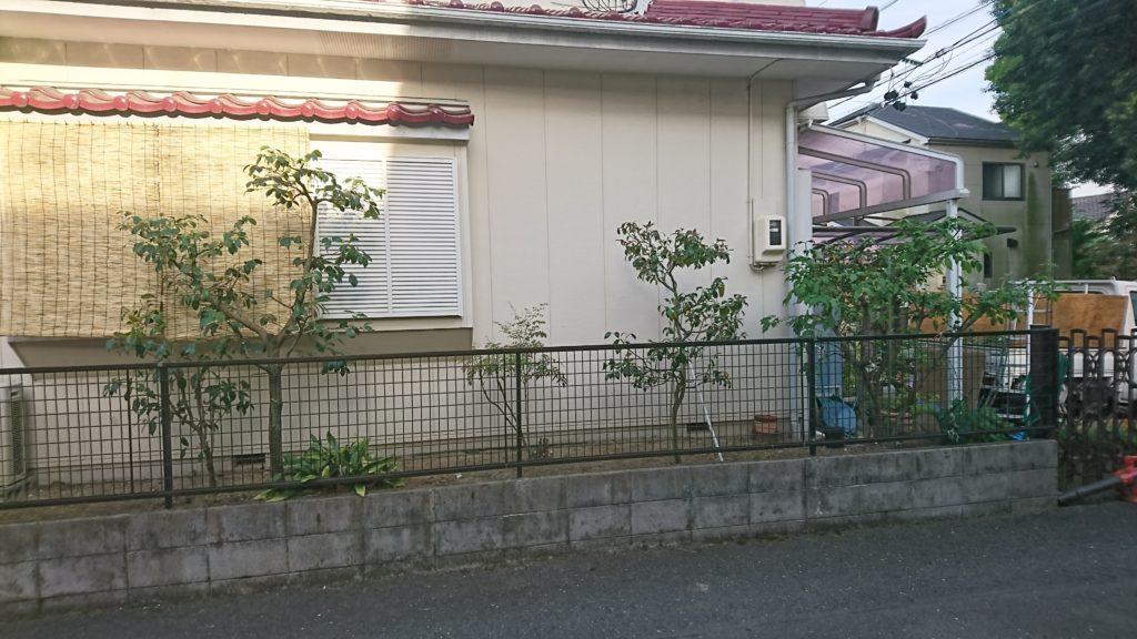 ツバキ 剪定 消毒 紅葉園