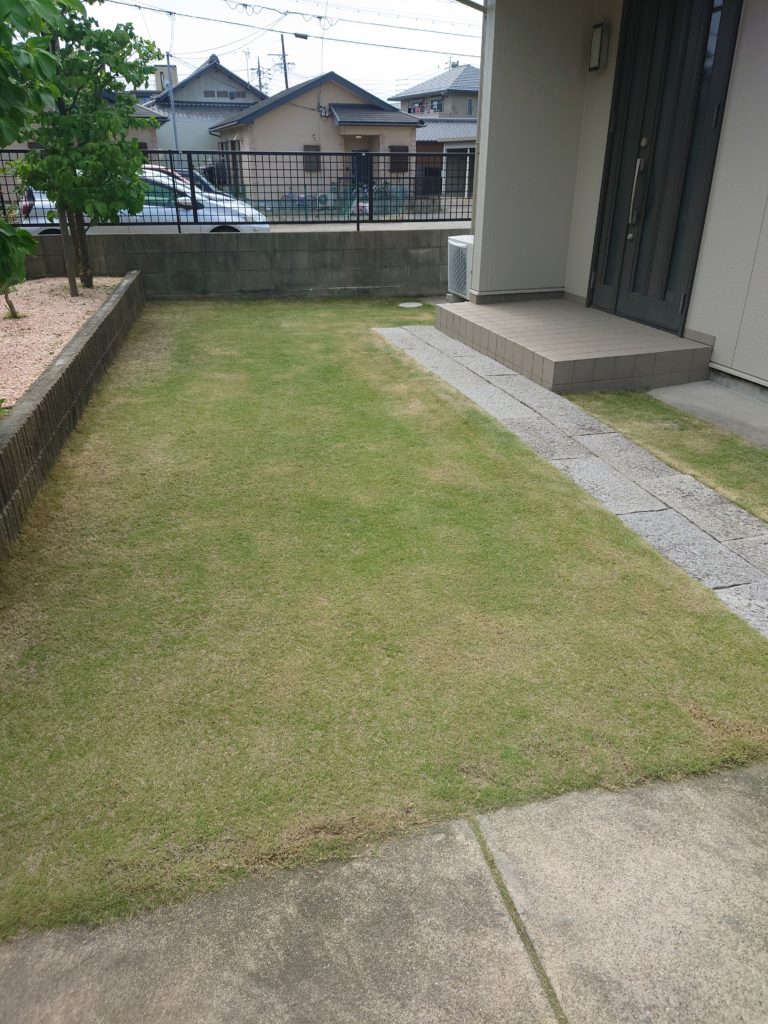 芝刈り　芝生